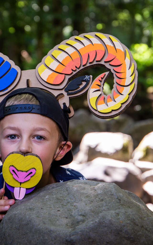 Atelier - Créations en Carton