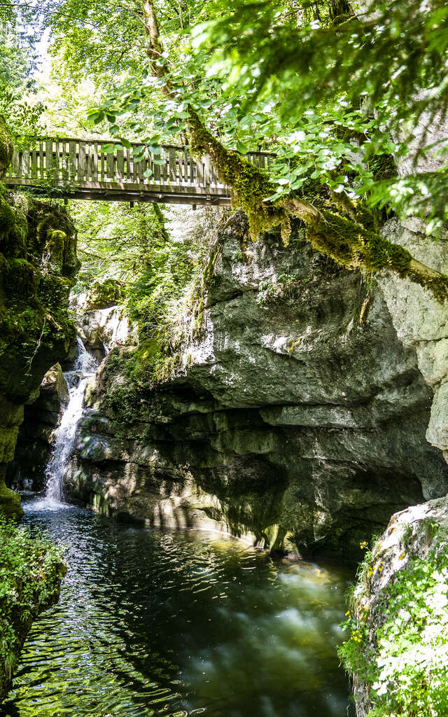 Le sentier du Cozon