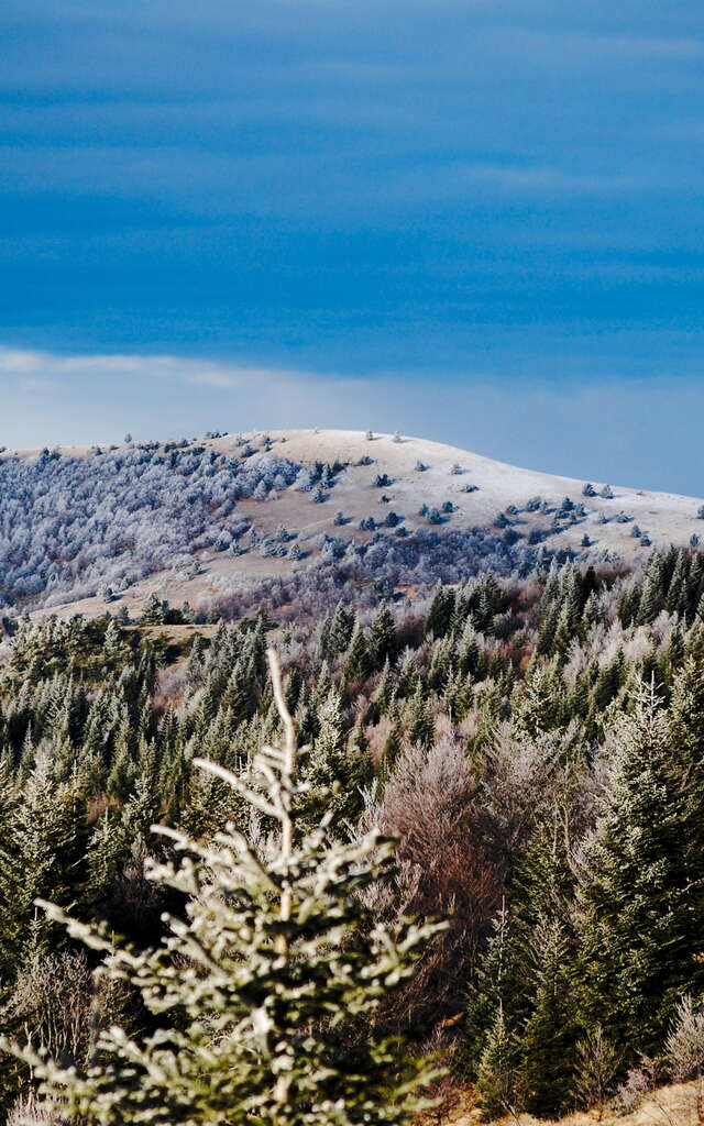 Montagne de Lure