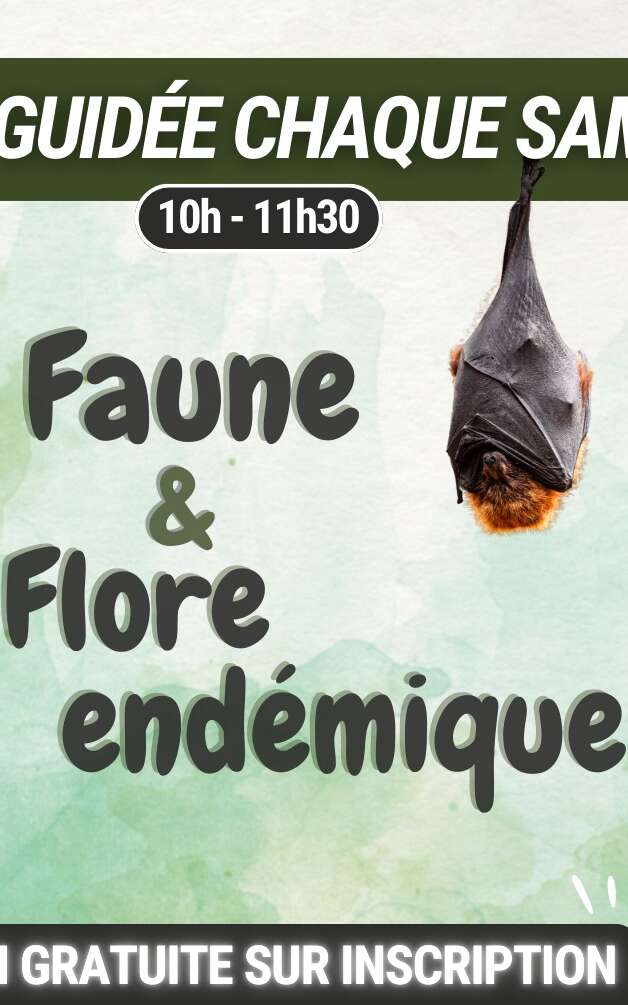 Faune et flore endémique - Parc Zoologique et Forestier