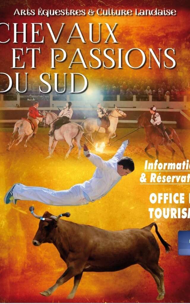 Spectacle équestre Chevaux & Passion du Sud à Cazaubon