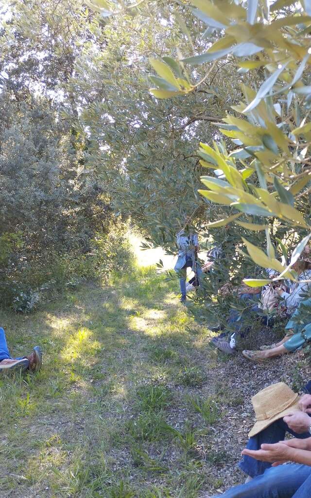 Les balades contées … et gourmandes