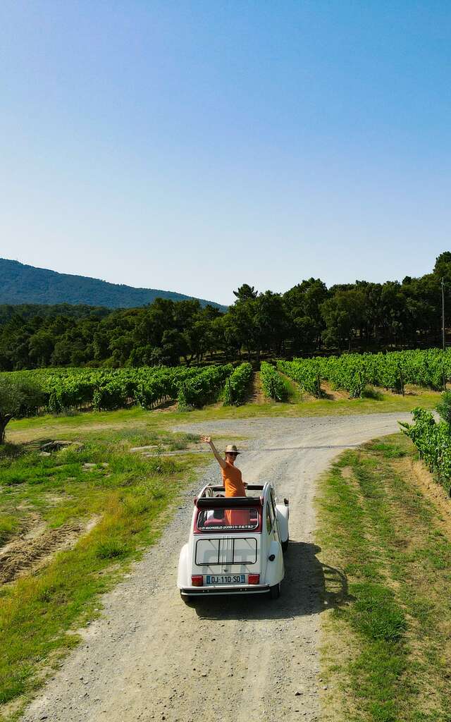 Route des vins Golfe de Saint-Tropez