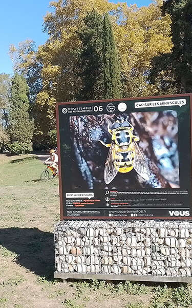 Expo nature « Cap sur les minuscules »