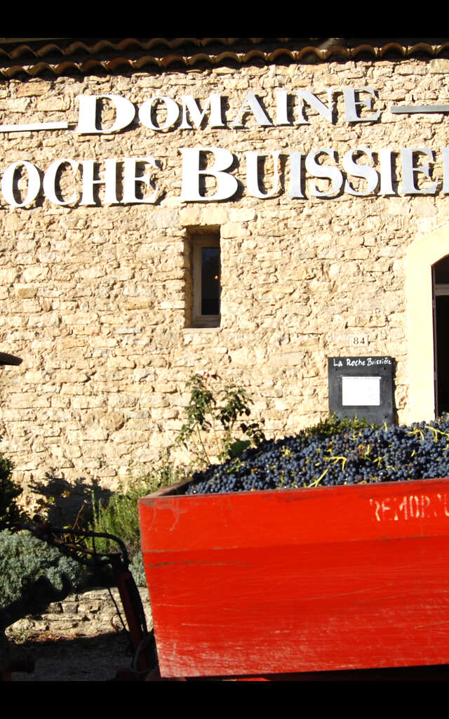 Domaine La Roche Buissière