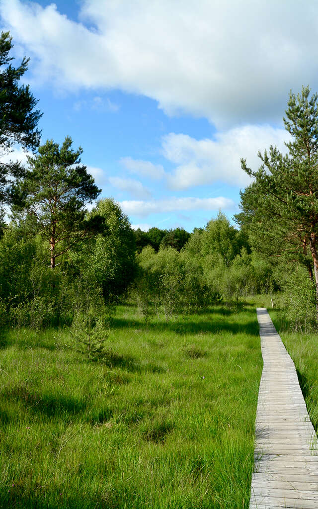 Le Marais du Cassan et de Prentegarde