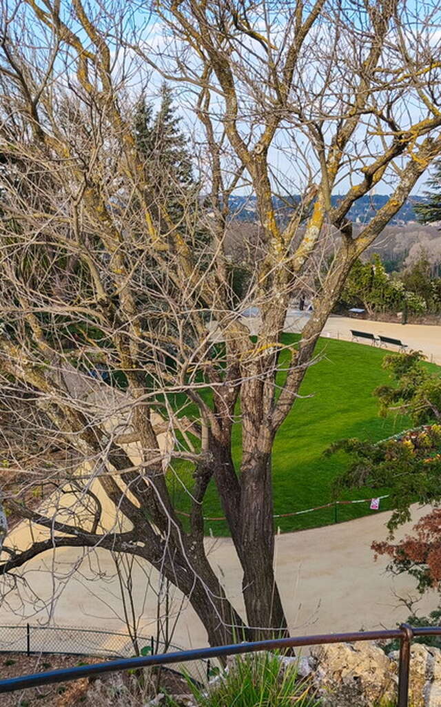 Le jardin du Rocher des Doms