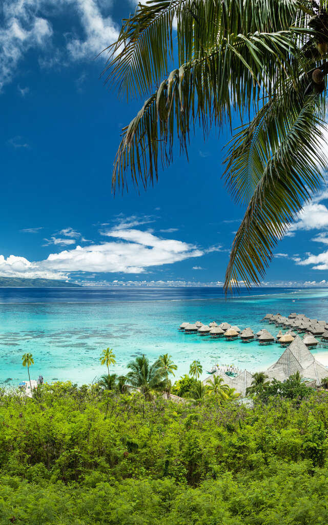 Défi d'elles Tahiti Moorea