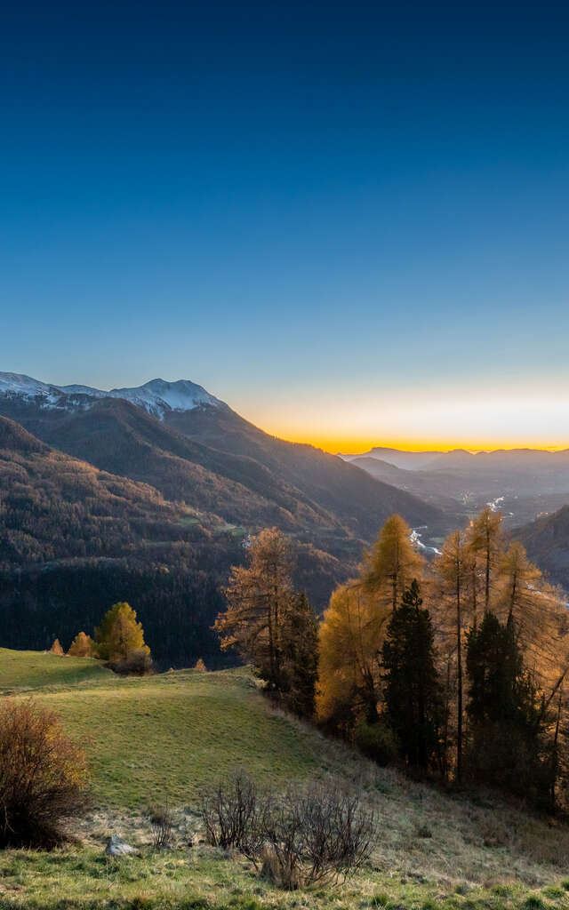 Sortie découverte au Forest des Marches