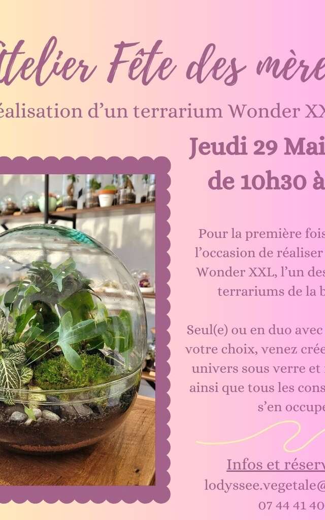 Atelier spécial Fête des mères - Terrarium XXL