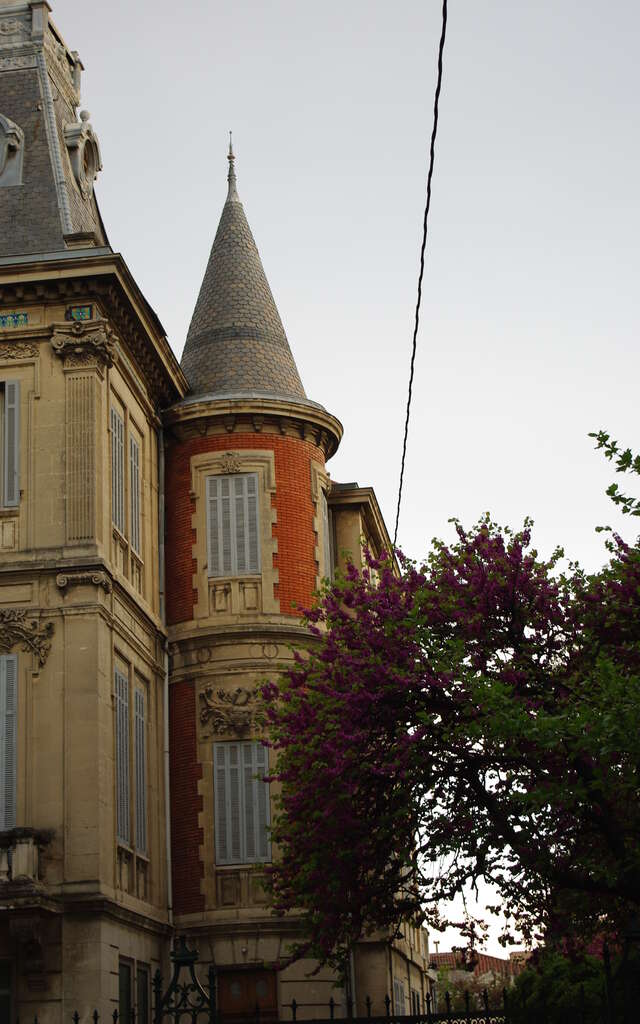 Visites guidées : centre historique et quartiers des savonniers