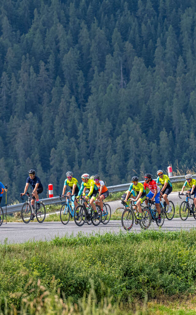 [Canceled] Reserved collar