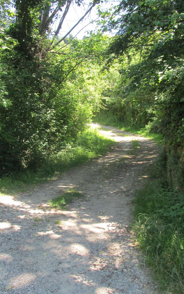 Chemin de Pezegado