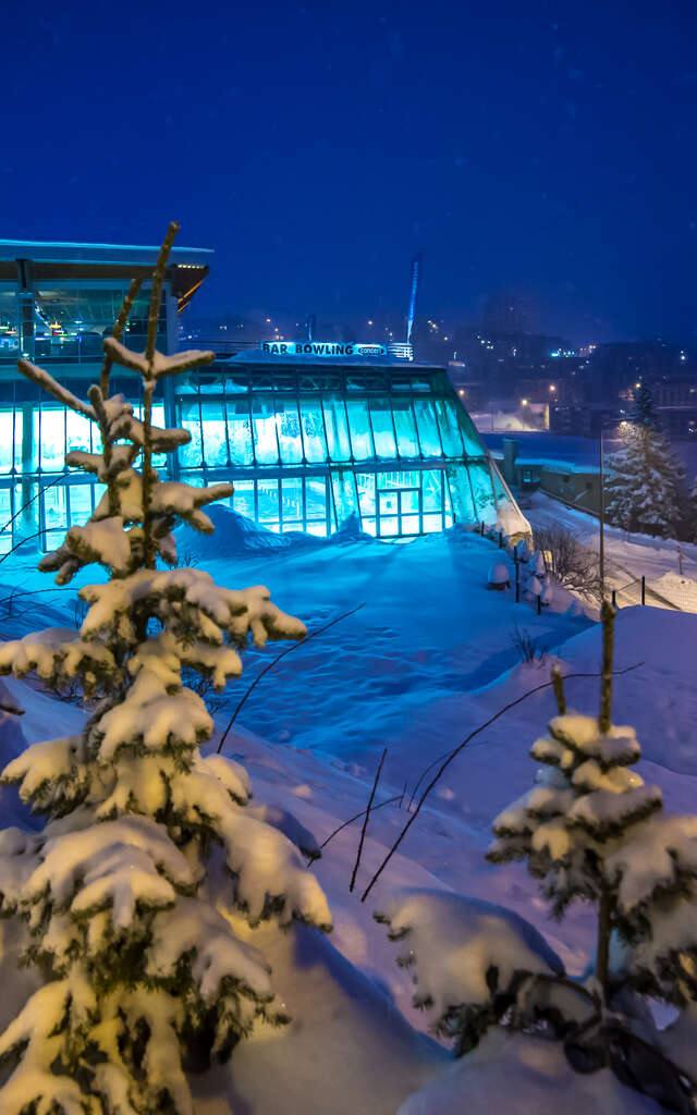 Palais des Sports