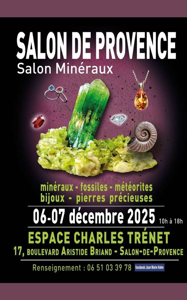 Salon Minéraux