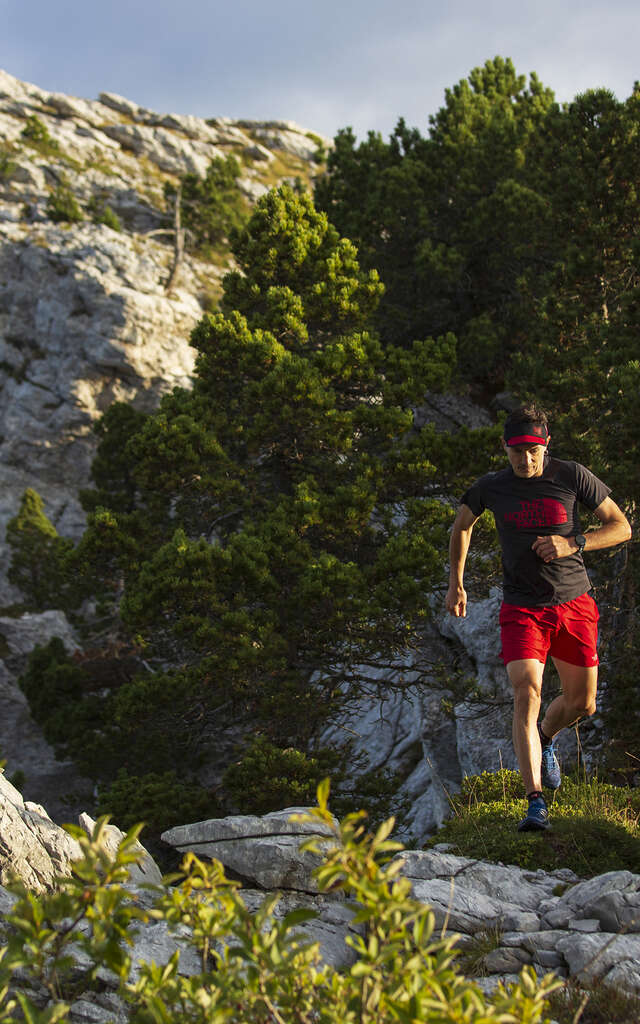 Trail : La boucle des Chartreux