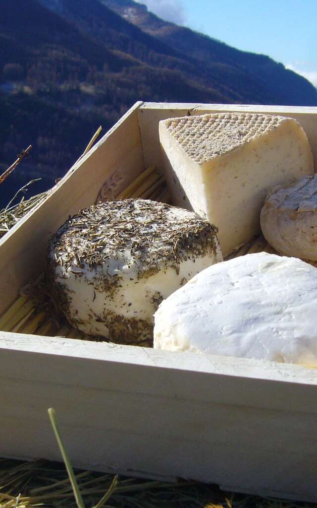Visite guidée de la Ferme Tout là Ô !