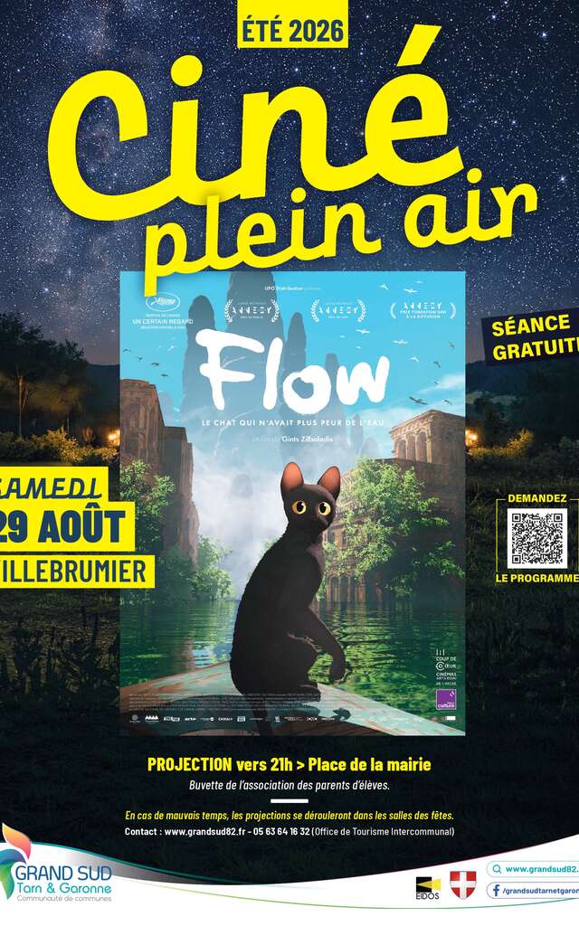 Ciné Plein Air /"Flow"