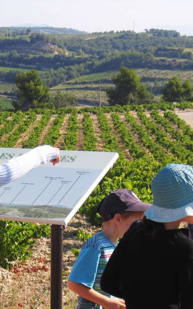 Wijn- en Panoramapad in Rasteau