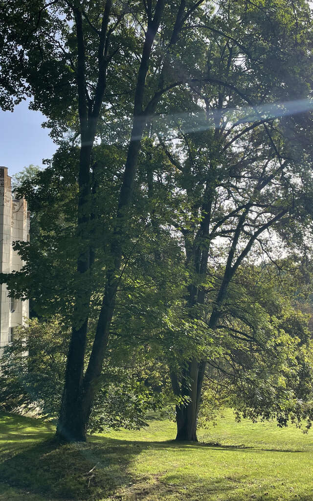 Séance de yoga au désert de Retz