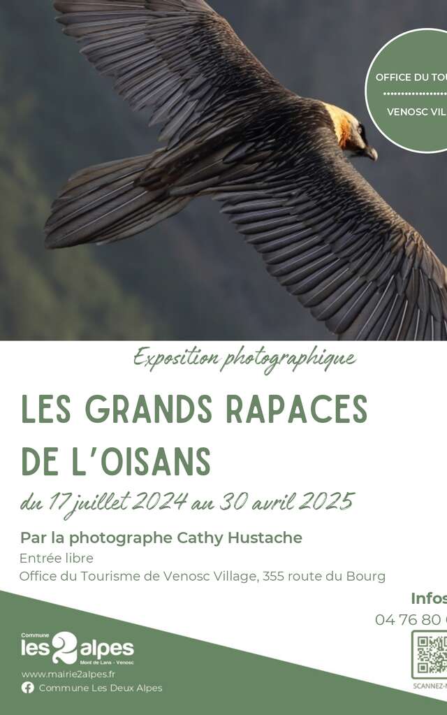 Photo exhibition - the great birds of prey of the Oisans