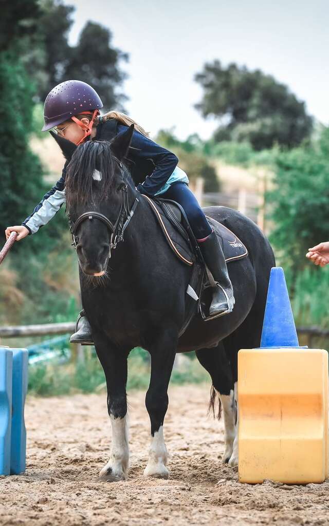 Centre équestre et Poney-club Le Palis