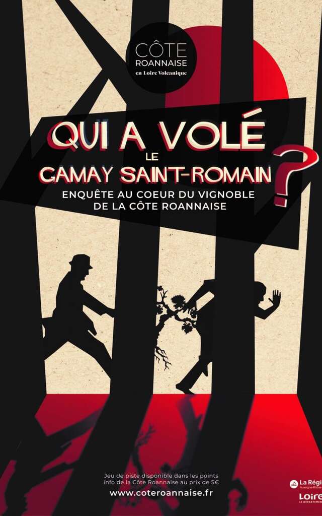 Qui a volé le Gamay St-Romain ?