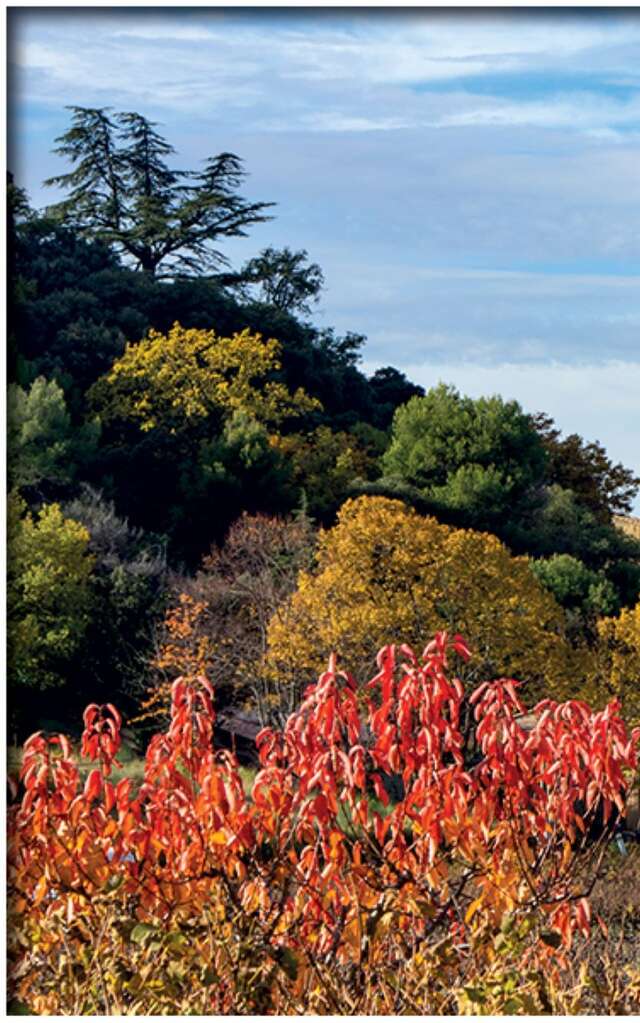 La randonnée de Puyméras par Terra Rando