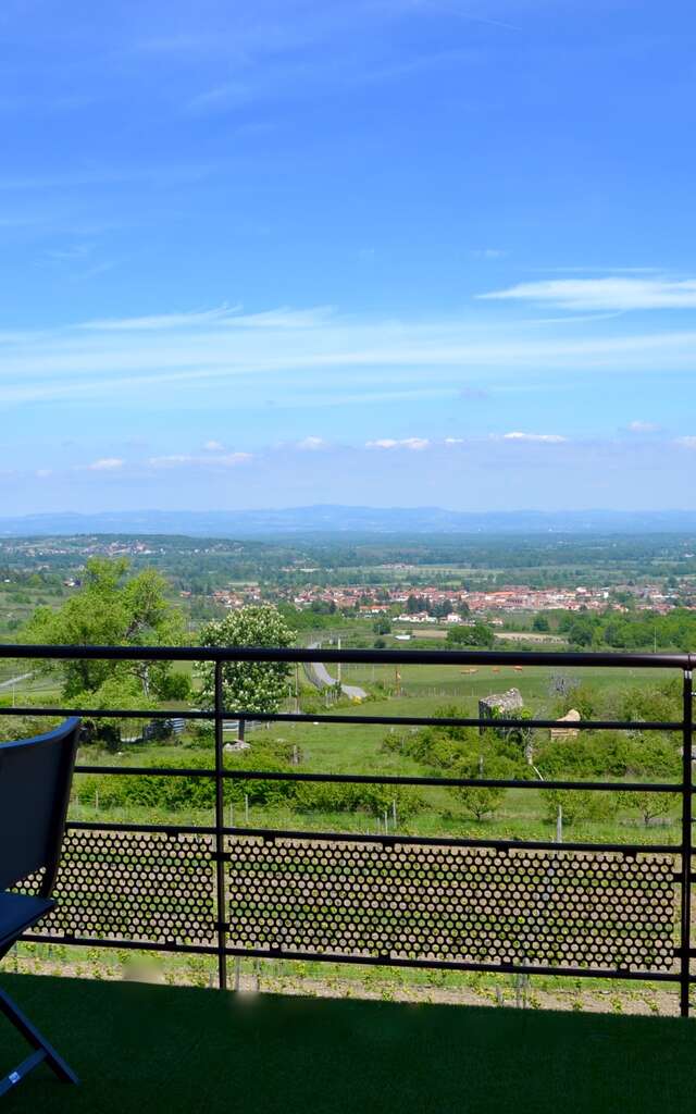 Vue sur Vignes