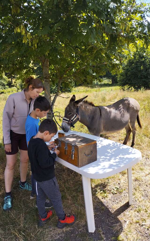 Chasse au trésor avec un âne