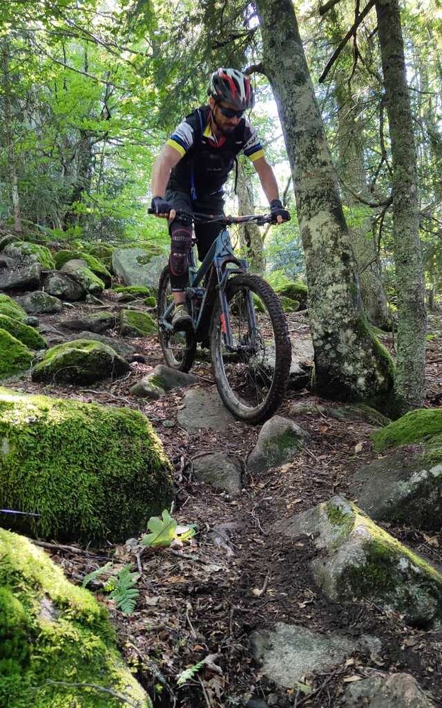 Stage VTT enduro