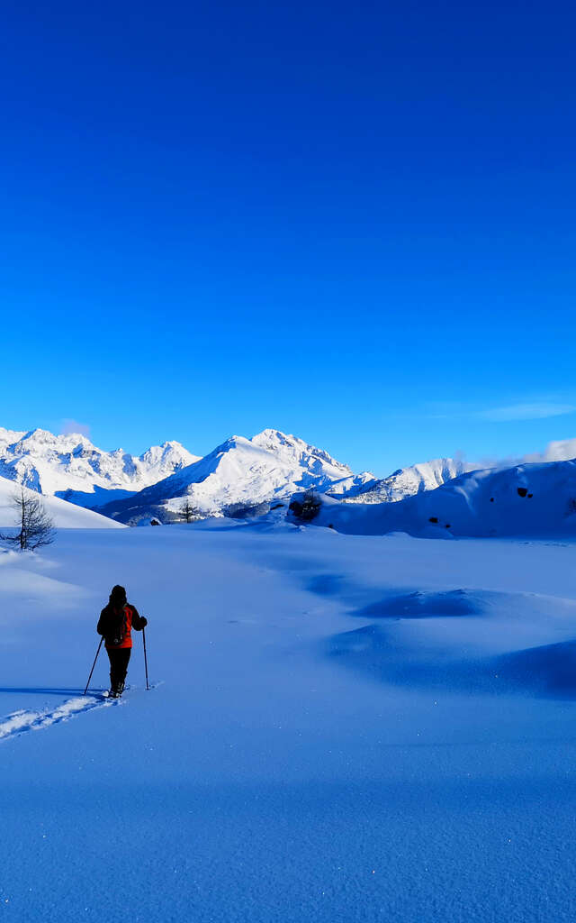 Montagne Mélézin