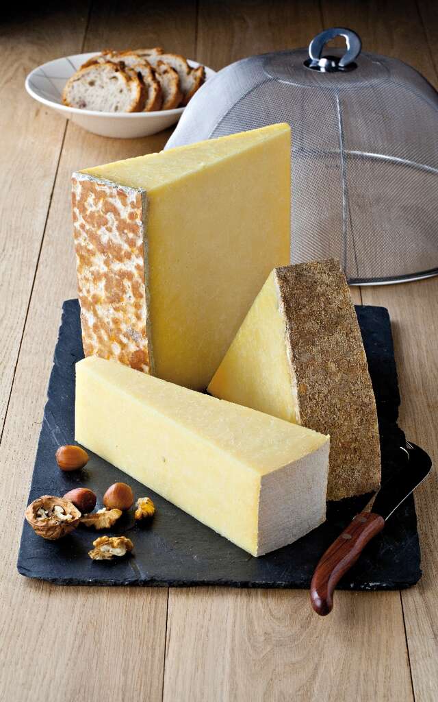 Comité Interprofessionnel des Fromages du Cantal