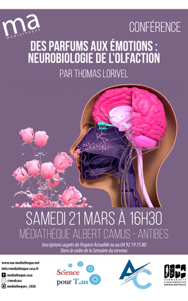 Des parfums aux émotions: neurobiologie de l'olfaction.