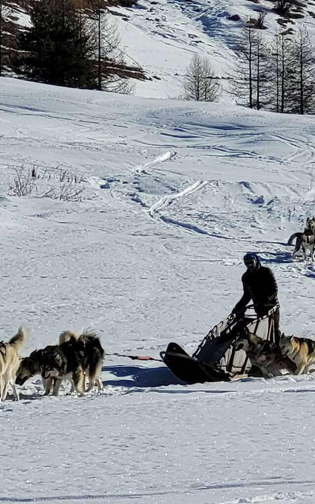 Journée (sportive) avec les chiens de traîneaux au refuge Agnel