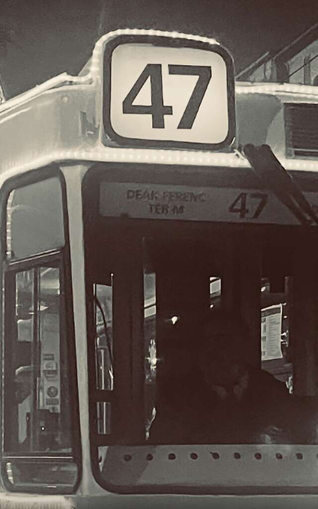 Un Tramway Nommé Désir (théâtre)