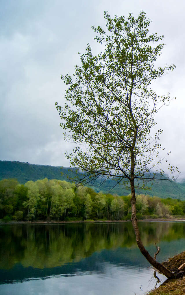 31e Randonnée des Lacs en Bugey