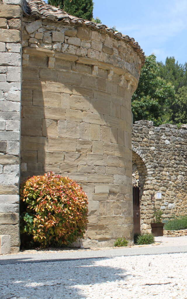 Laurens, Vignoble des Templiers