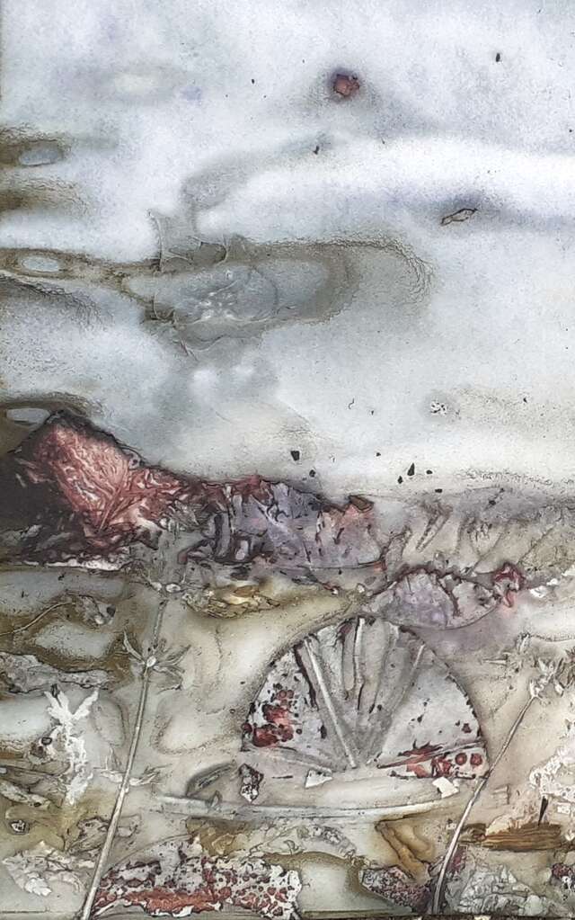 Exposition "Résultats alchimiques d'impressions végétales"