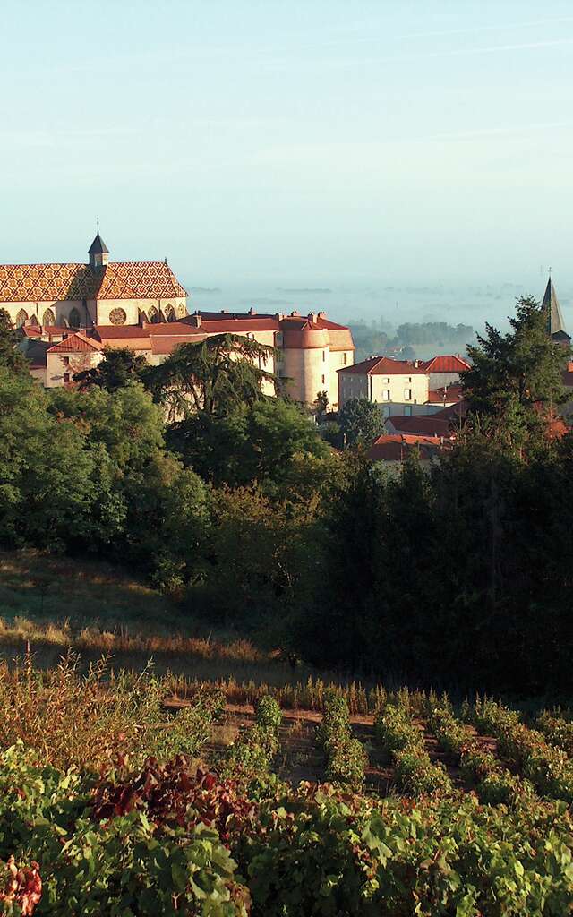 Balade La Clef des champs - Ambierle