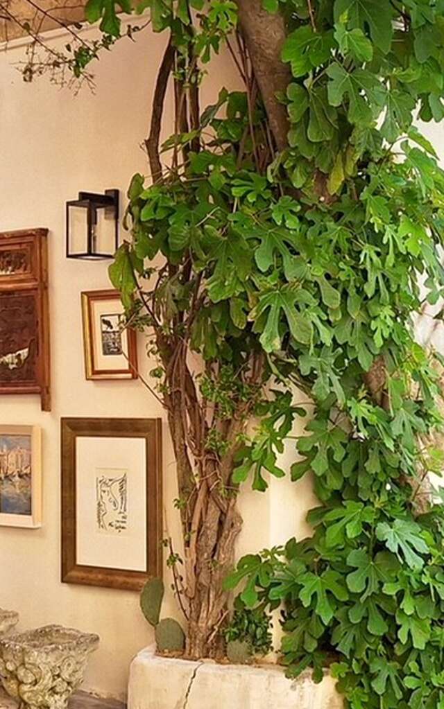 Mas Ermitage - Antiques & design