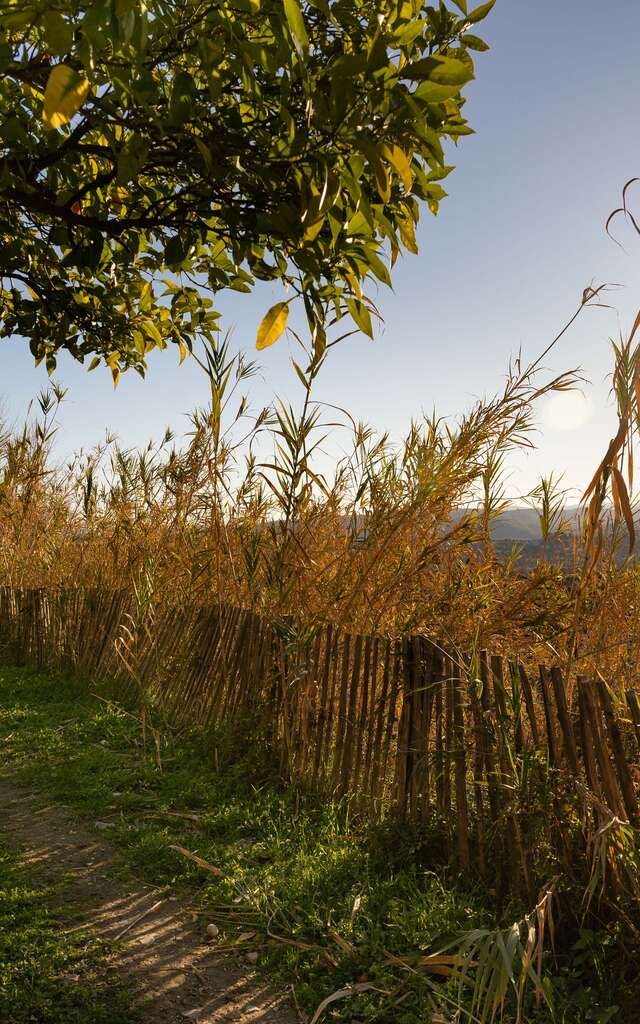 Balade nature