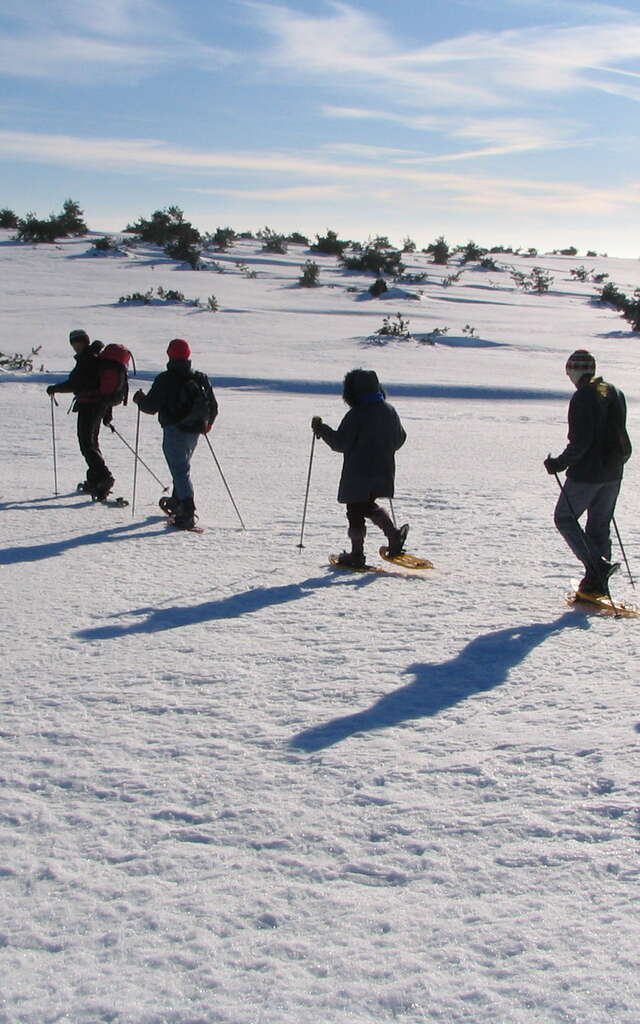 Veillées nordiques en Loire Forez