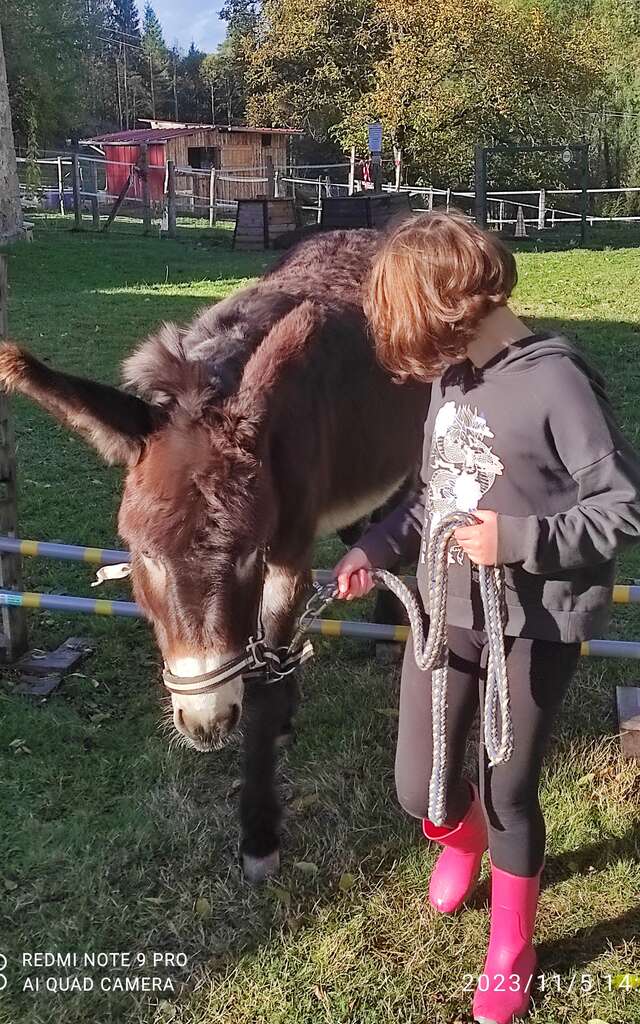 Familiarisez-vous avec les animaux de la ferme