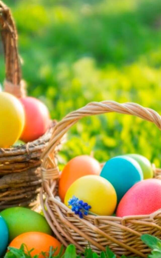 Chasse aux œufs du CIQ