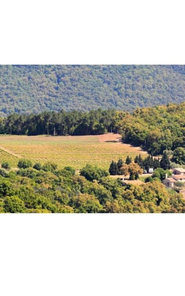 Domaine Murennes