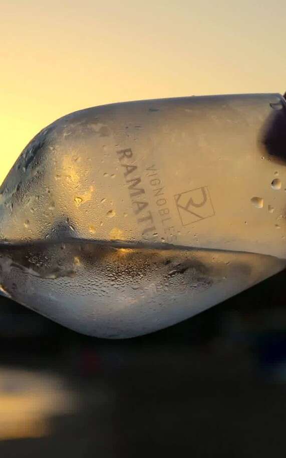 Vignobles de Ramatuelle