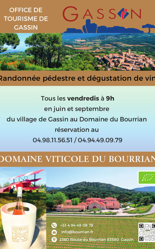 Randonnée pédestre et dégustation de vin