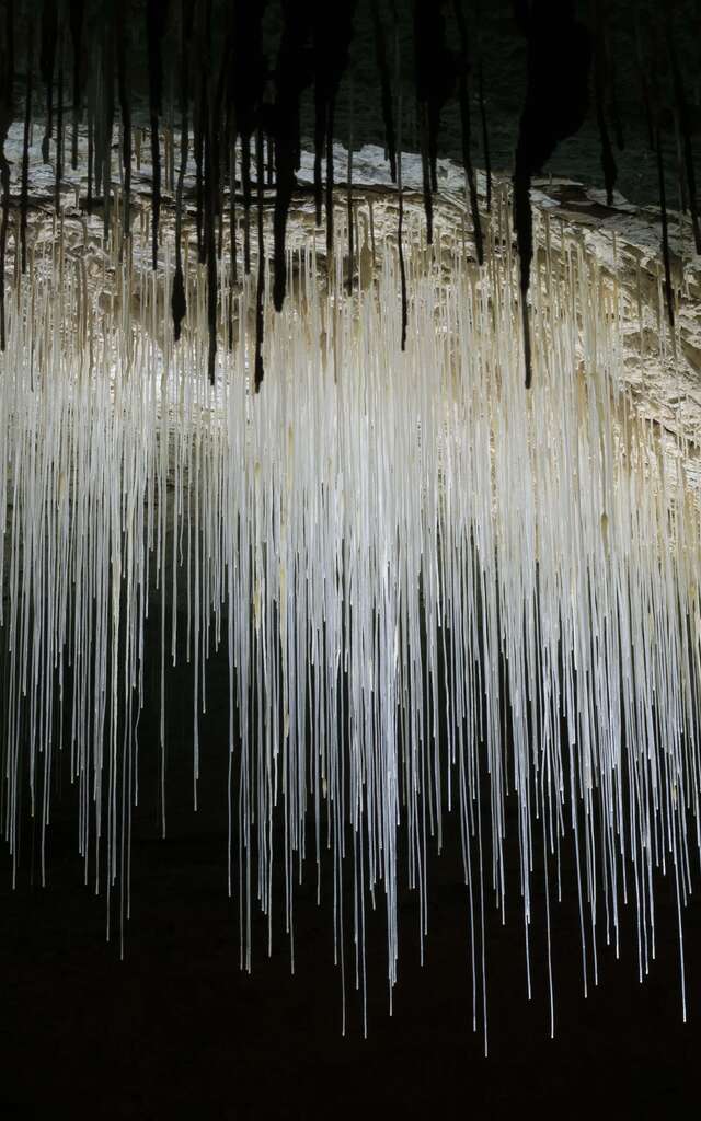 La Grotte de Choranche