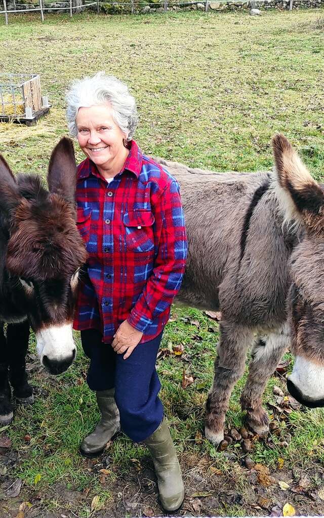 Explorez la vie à la ferme : ânes, vaches et glaces maison !